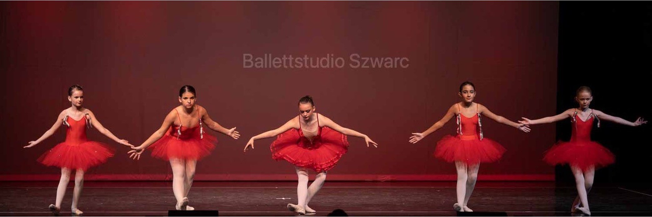Präsentationsansicht der Firma Ballettstudio Szwarc