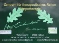 Hof Eichenhorst
Zentrum für therapeutisches Reiten