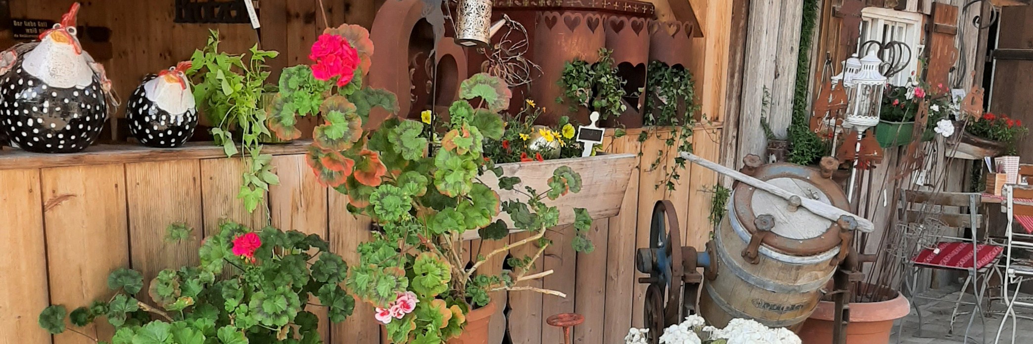 Präsentationsansicht der Firma Dahoam beim Leo