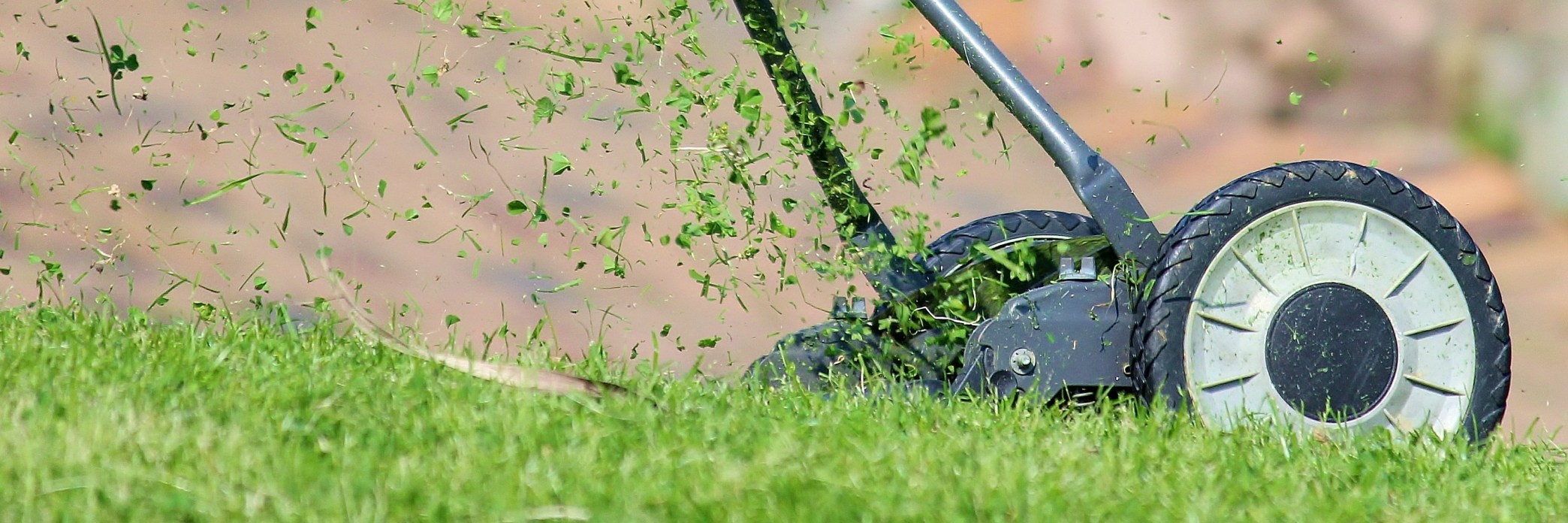 Präsentationsansicht der Firma LINEMAH
Timo Bembennek 
Gebäudereinigung und Hausmeisterservice