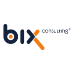 biX Consulting GmbH & Co. KG