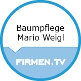 Baumpflege Mario Weigl