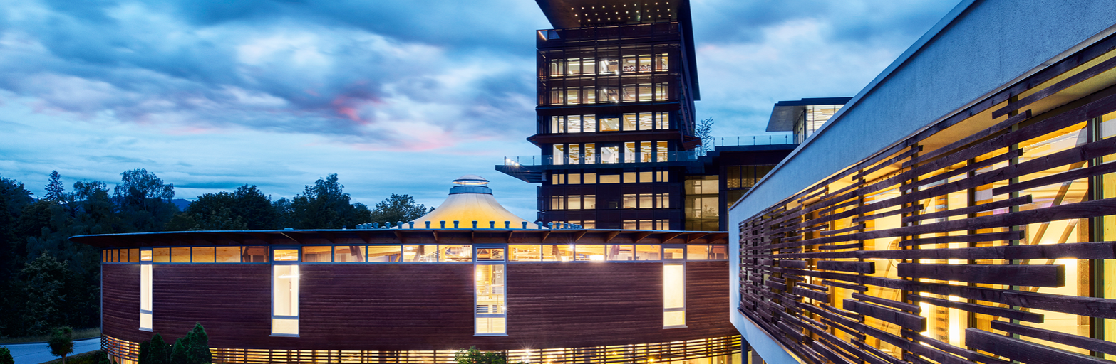 Präsentationsansicht der Firma Niedermaier GmbH, Türen & Fenster, Raubling