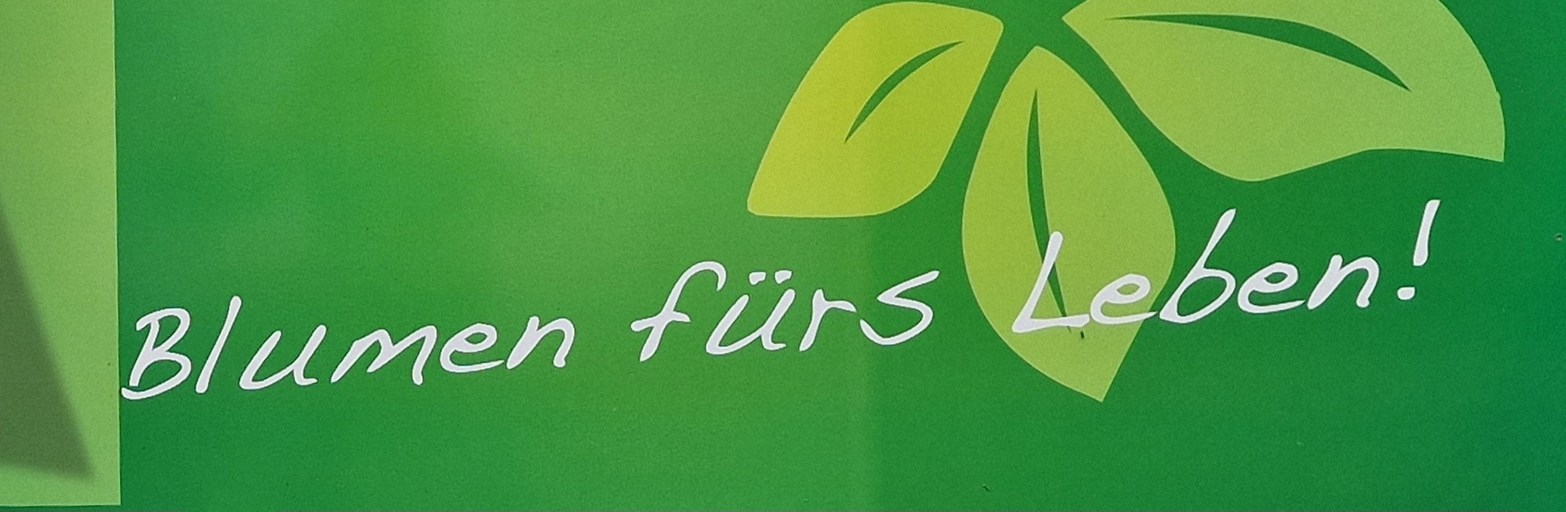 Präsentationsansicht der Firma Blumen Selzle
Gärtnerei