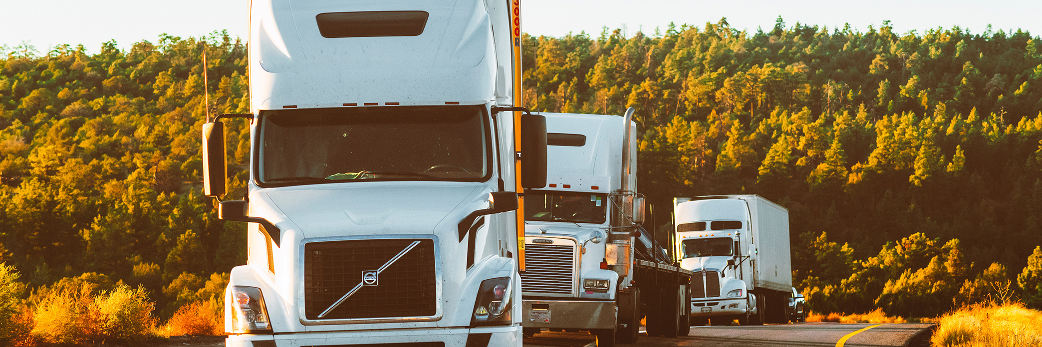 Präsentationsansicht der Firma Internationale Logistik 
Spedition Xaver Bosch GmbH