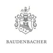 Baudenbacher GmbH