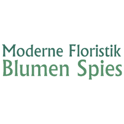 Moderne Floristik 
Blumen Spies