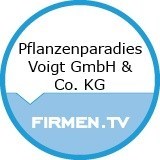 Pflanzenparadies Voigt GmbH & Co. KG