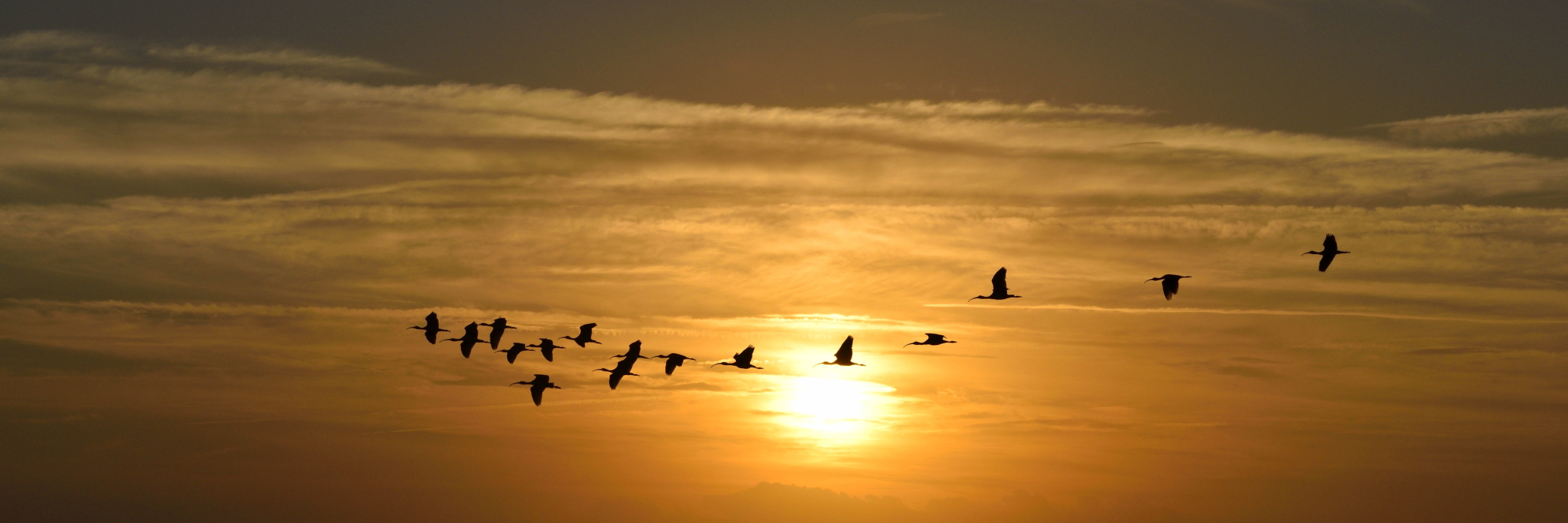 Präsentationsansicht der Firma Zorn GmbH 
Bestattungsinstitut