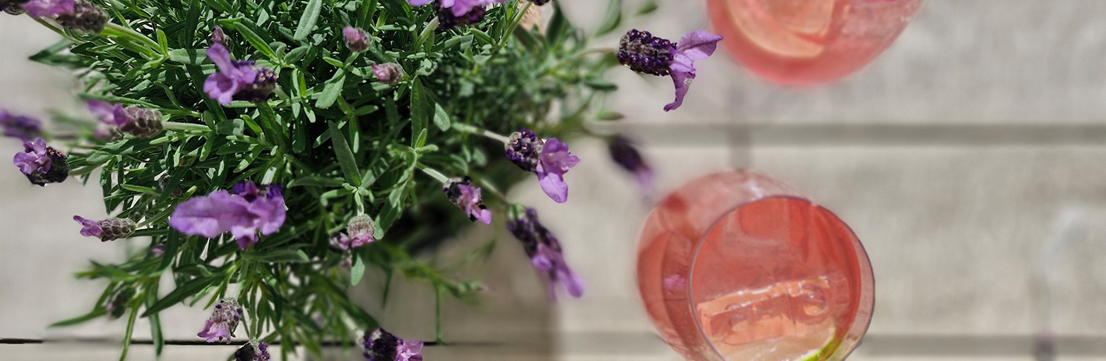 Präsentationsansicht der Firma Klostercafé Weyarn
Inh. Julian Wollmann