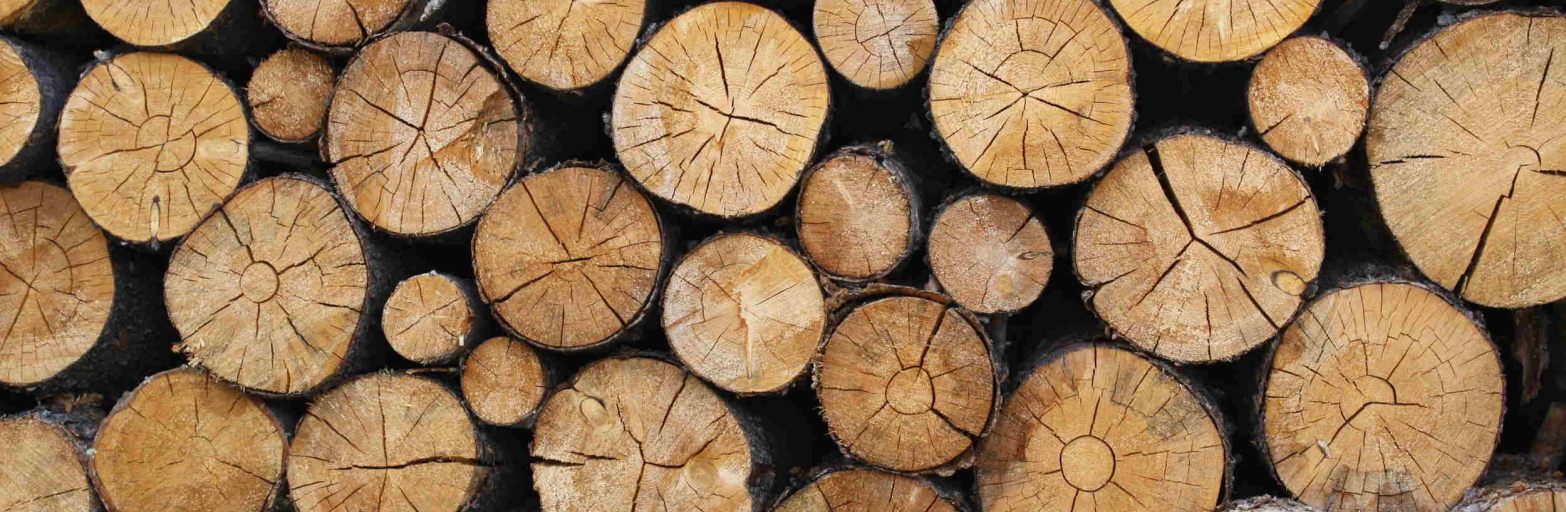 Präsentationsansicht der Firma Holzenergie Mayer GBR