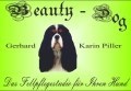 Beauty-Dog