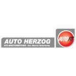 Auto Herzog